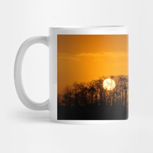 "Everglades Sunrise" Mug